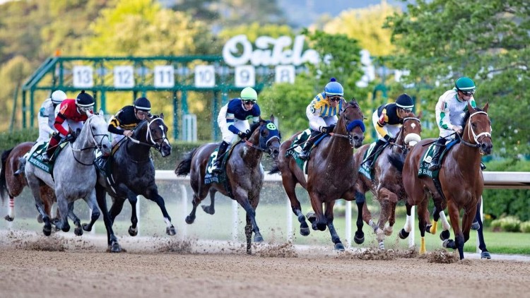2023 Arkansas Derby predictions, odds, date, post time, contenders: Surprising picks from horse racing expert