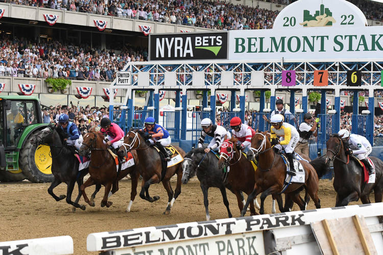 2023 Belmont Stakes Picks & Betting Bible