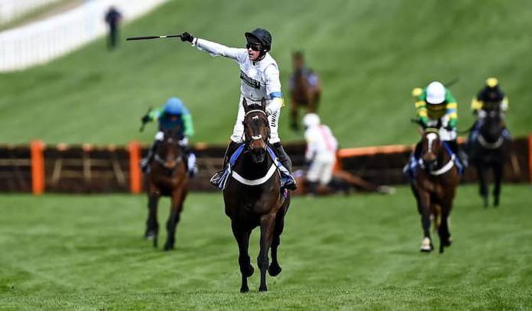 2023 Cheltenham Festival Trends On Day One: Cheltenham Stats