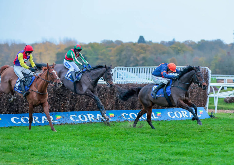 2023 Coral Gold Cup: ante-post tips at 8-1 and 33-1
