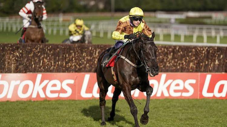 2023 Dublin Racing Festival Tips Leopardstown Best Bets