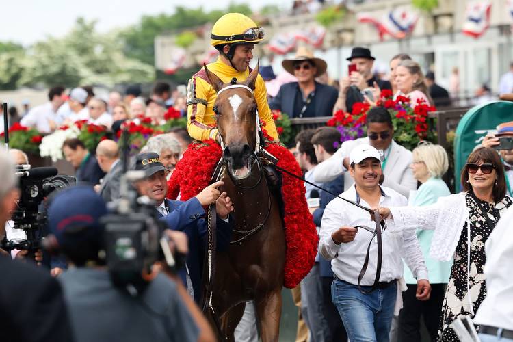 2023 Fountain of Youth Stakes Predictions: Top Five Contenders