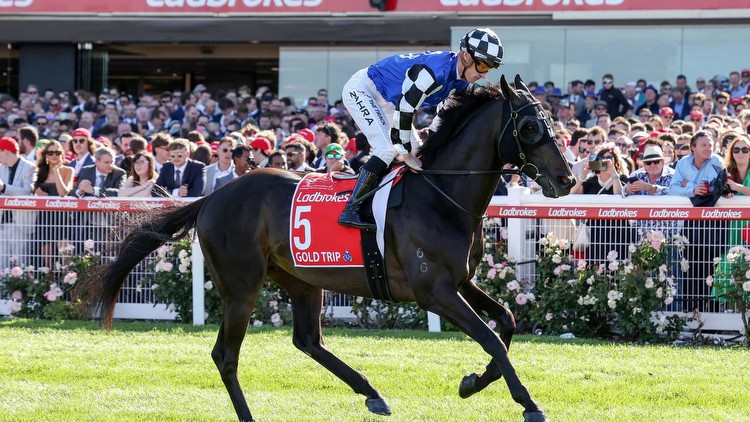 2023 Group 1 Melbourne Cup runner-by-runner analysis and tips at Flemington