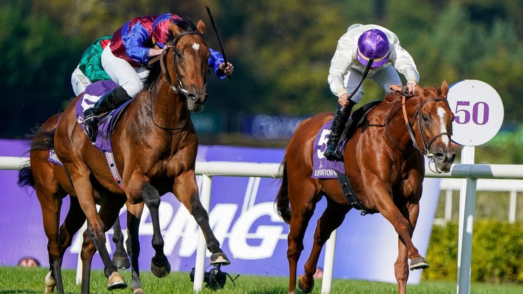 2023 Irish Champion Stakes Live Stream