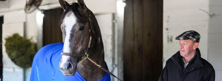 2023 Pennsylvania Derby morning-line odds, picks, post time: Racing insider offers betting strategy for Saturday's race