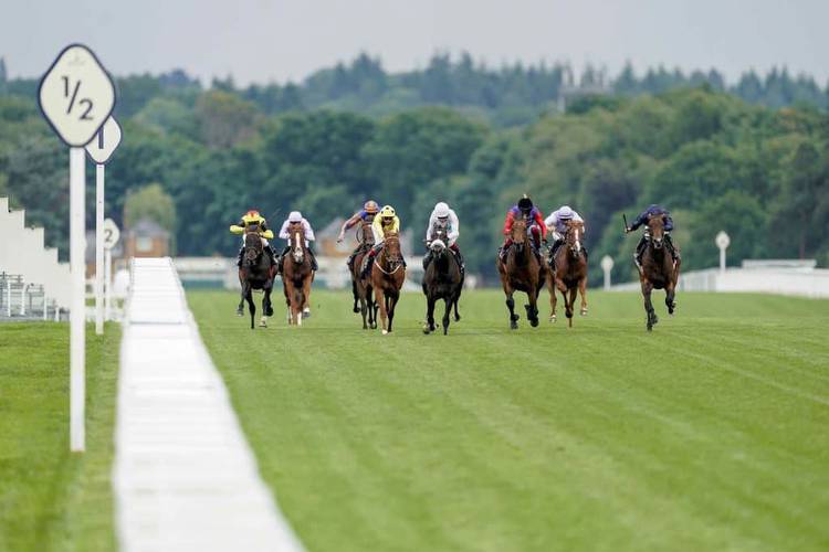4.20 Curragh Tips: Rosscarberry to confirm superiority