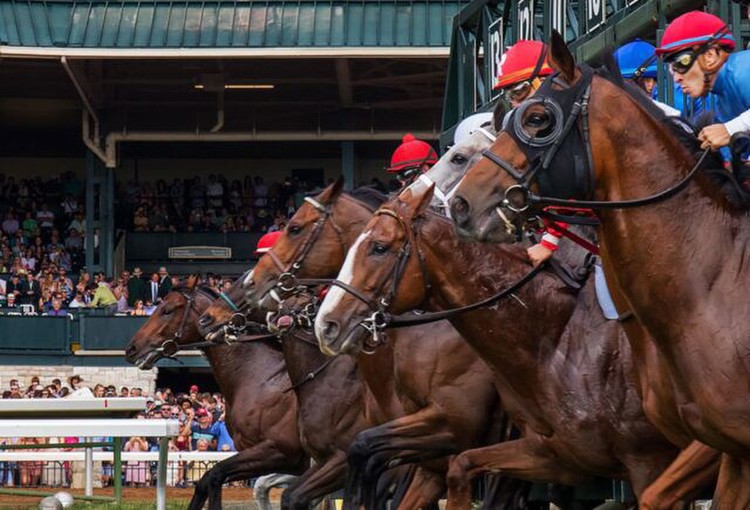 5 Destinations For Horse Racing Enthusiasts To Visit