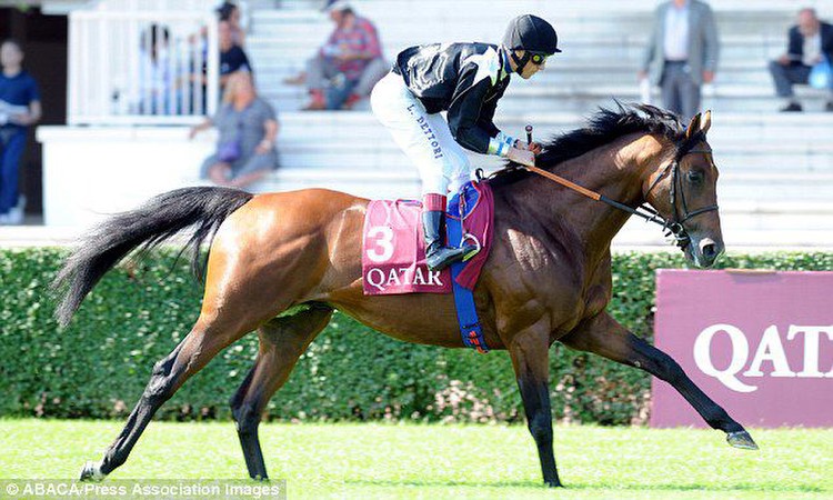 Shock: Joshua Tree was one of Dettori's rides at Longchamp on September 16