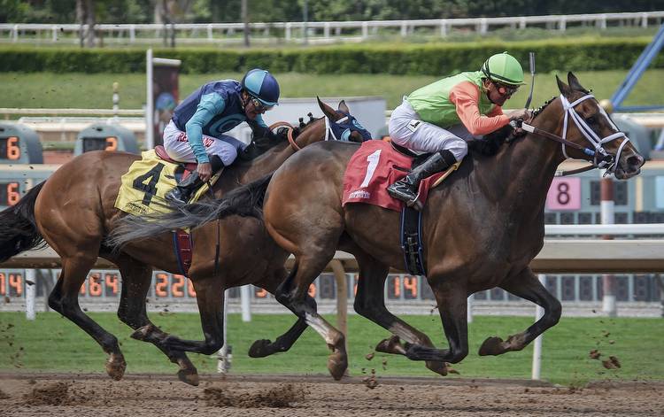 6 advantages when betting on the Belmont Stakes