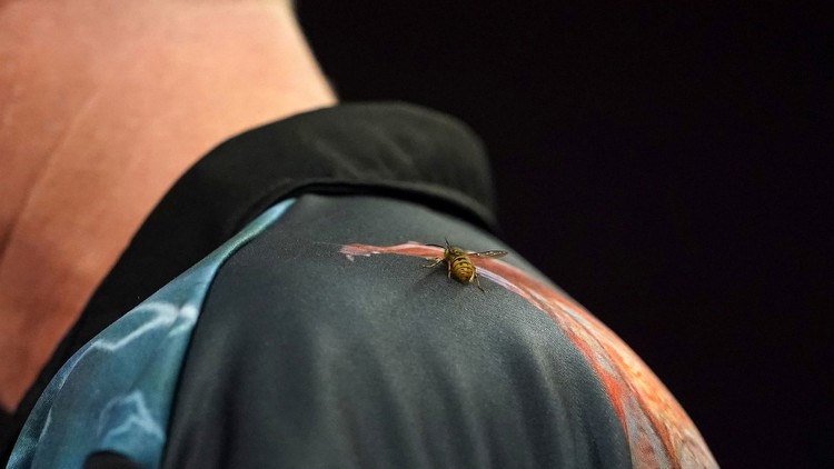 Sky Sports viewers stunned after World Darts Championship star makes comeback after having WASP on back for entire match