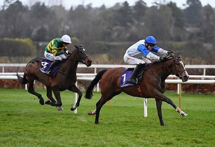 A Dream To Share Champion Bumper Odds: 4/1 Betting Favourite