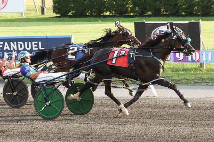 A glance at the two-year-old pacing colts