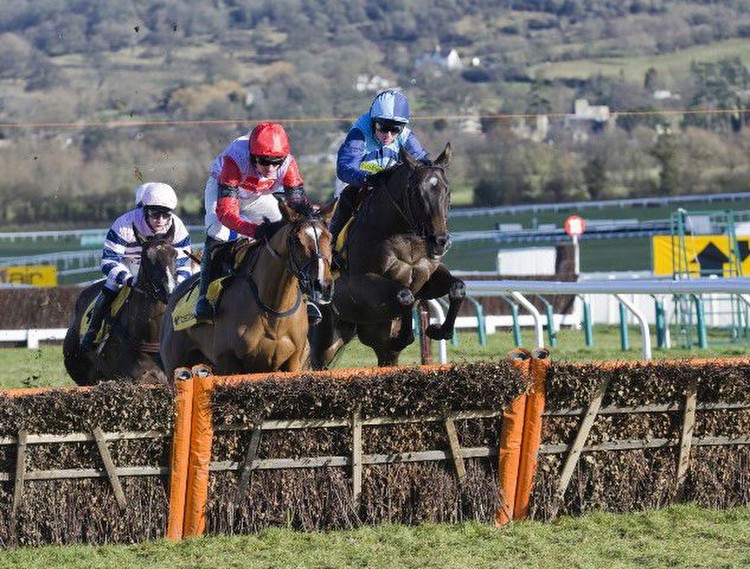 A Look At Recent Winners Of The Cheltenham Gold Cup