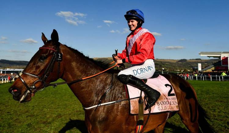 A Plus Tard gambled in to land Cheltenham Gold Cup
