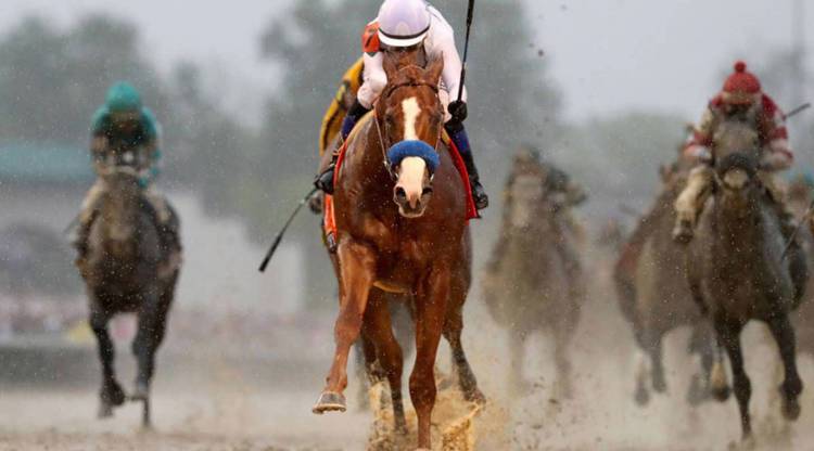 A race to the finish: The Kentucky Derby, by the numbers