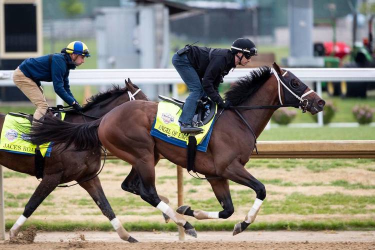 A run through the field: Odds and info on every 2023 Kentucky Derby contender