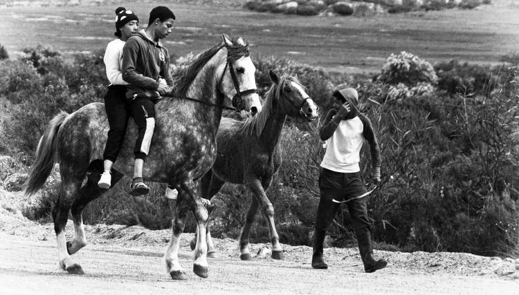 a village in love with horses