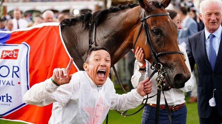 Absurde Melbourne Cup Odds: 20/1 Outsider For Willie Mullins