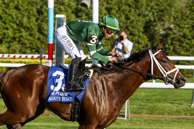 Agate Road Gets Up In Time To Win Juvenile Turf Prep