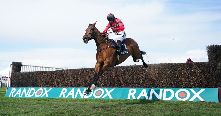 Ahoy Senor "storming" up the gallops ahead of 2023 Cheltenham Festival Gold Cup