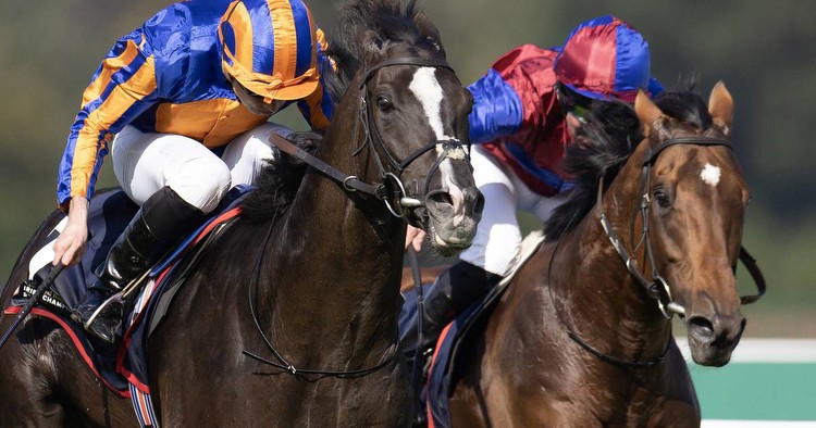 Aidan O’Brien and Auguste Rodin bounce back to win Irish Champion Stakes