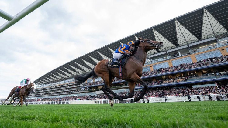 Aidan O'Brien becomes Royal Ascot's most successful trainer as Paddington storms away from Chaldean in St James's Palace