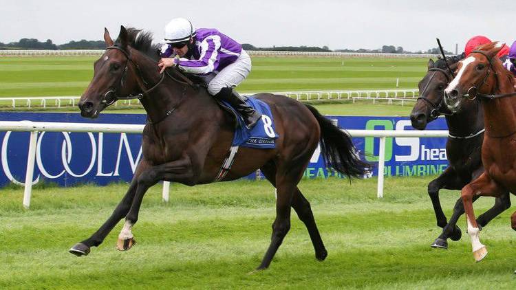 Aidan O'Brien blames early incident for disappointing run of High Definition
