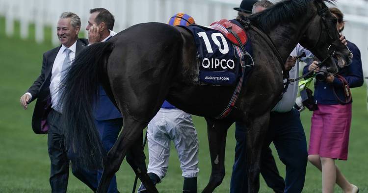 Aidan O’Brien reports Auguste Rodin ‘a bit stiff and sore’ after King George flop