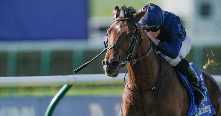 Aidan O'Brien's City of Troy 'best Dewhurst winner since Frankel'