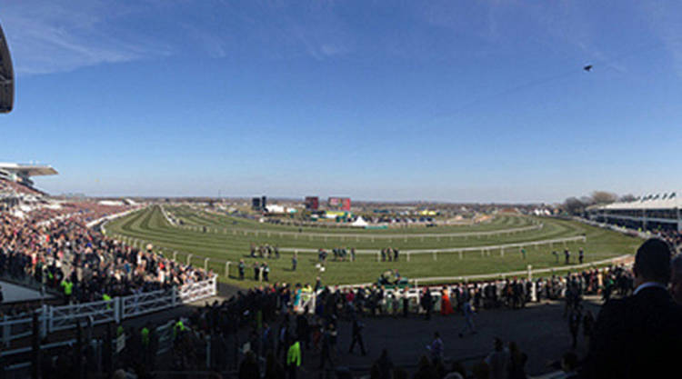Aintree's Grand National a true test of equine stamina