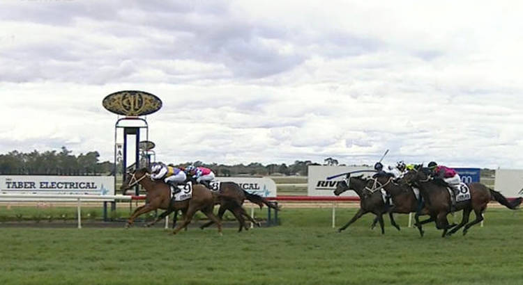 Aleas Opens His Australian Account in Wagga Cup