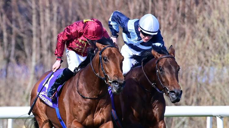 Alex Hammond blog: Piz Badile looks the main Derby danger to Aidan O'Brien trio while Concert Hall can sing Oaks tune