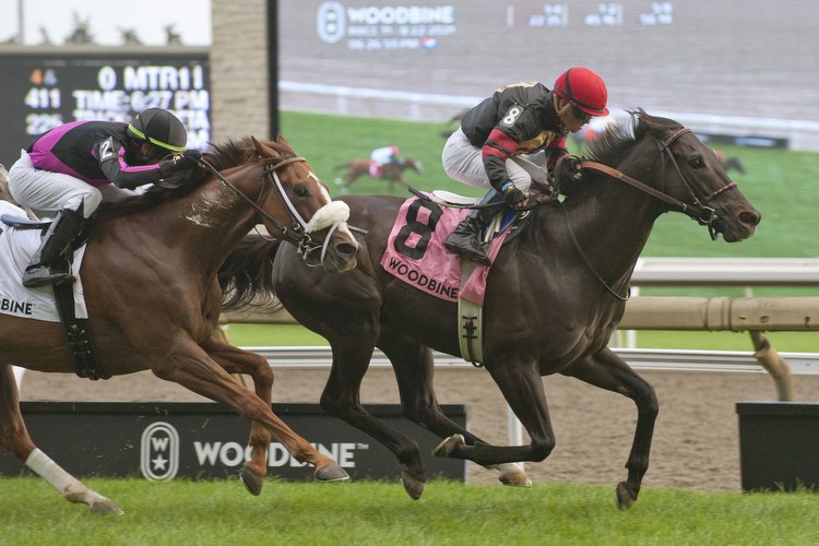 Allowance Matches ‘Salty’ Group Of Stakes Caliber Rivals