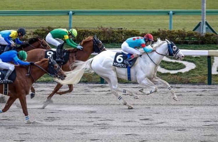 Amante Bianco wins first Japan prep for 2024 Kentucky Derby