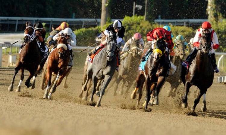 American Horse Racing Tips for Friday 10 February by Timeform