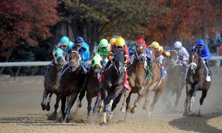 American Horse Racing Tips for Tuesday 20 December by Timeform
