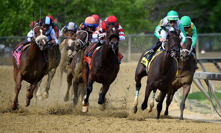 American Horse Racing Tips for Tuesday 27 December by Timeform