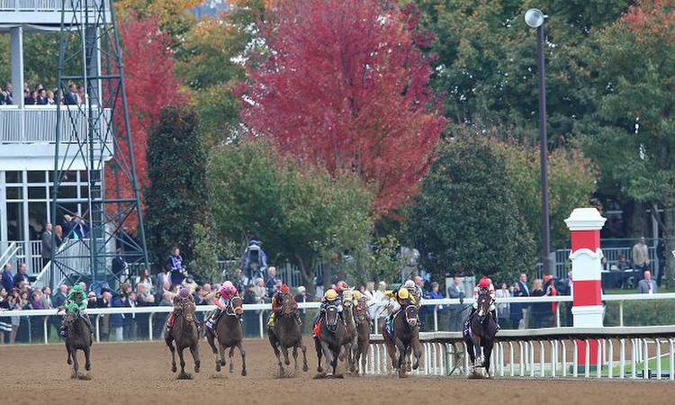 American Horse Racing Tips for Wednesday 14 December by Timeform
