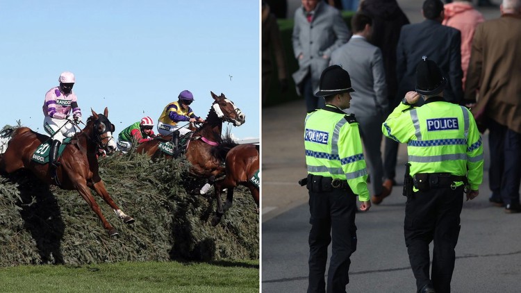 Animal rights protesters try to attack Grand National but shoot themselves in the foot in a weird week for racing