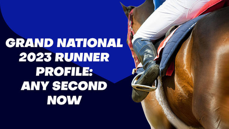 Any Second Now Grand National Odds & Betting Profile