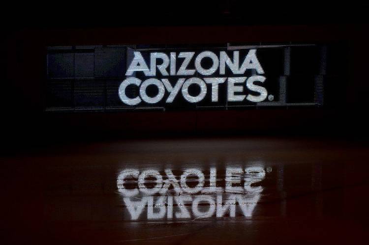 Arizona Coyotes Reassign Milos Kelemen