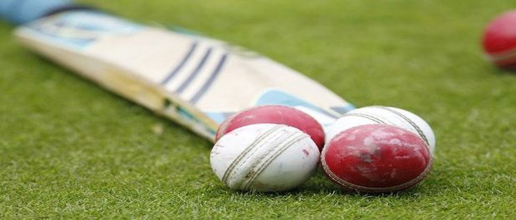 Around 340 million Indians participate in cricket betting; $200 million wagered on each ODI: Report