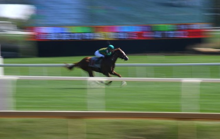 As Laurel Park readies for Maryland Million, experts discuss safety of troubled sport