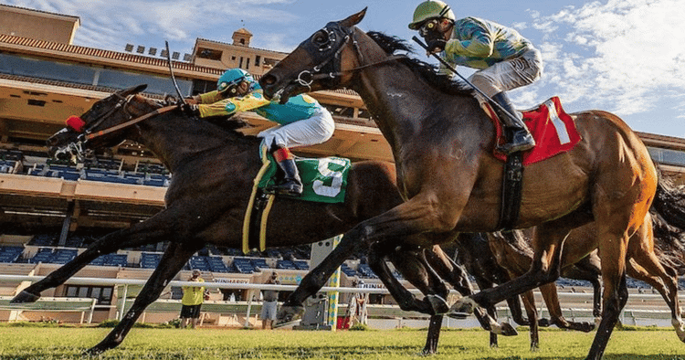 at Aqueduct, Churchill Downs and Del Mar