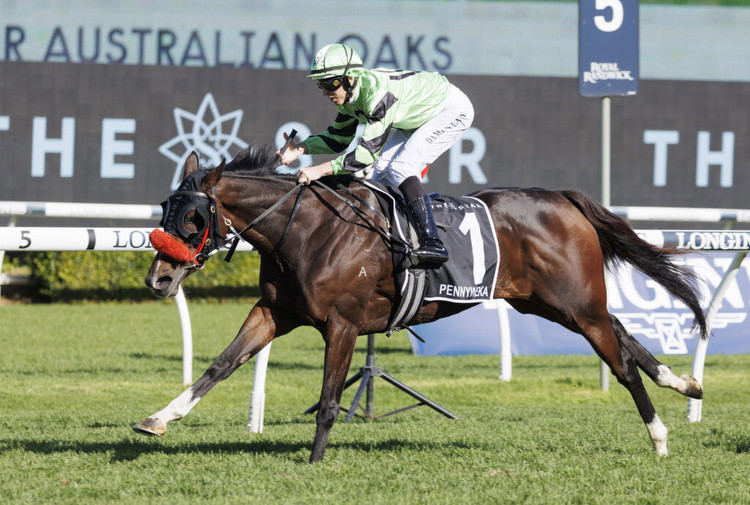 Australian Oaks 2024 Field, Tips, Betting Odds, Results