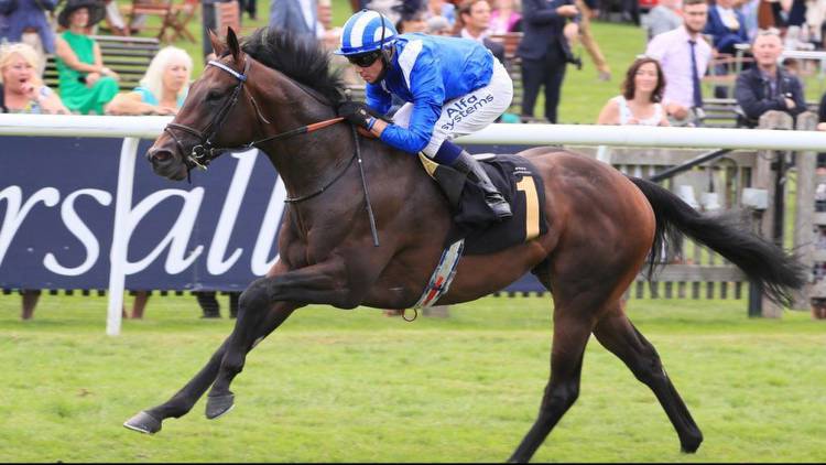 Baaeed to bow out in the Champion Stakes at Ascot