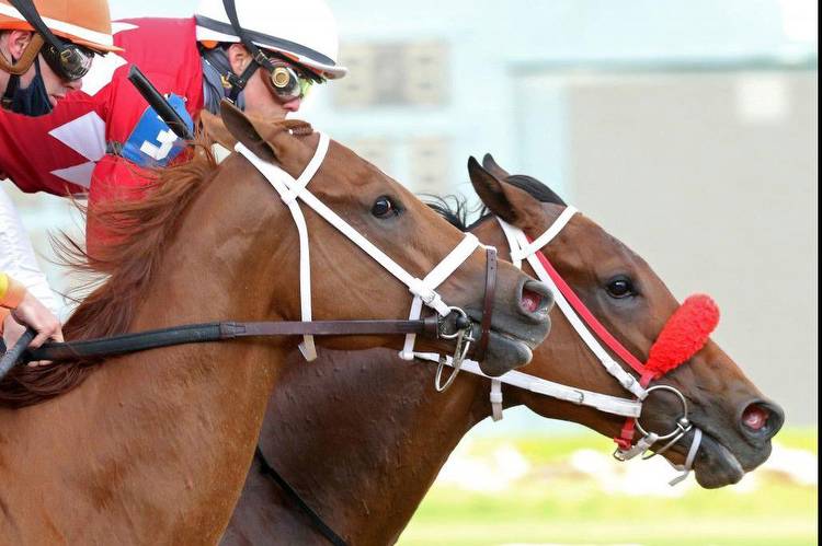 Baffert-trained Concert Tour, two others drop out of Kentucky Derby