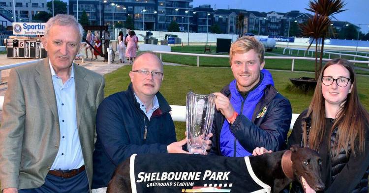 Ballyhimikin Rex produced a brilliant display to win the €7,500 Shelbourne Champion 550 race