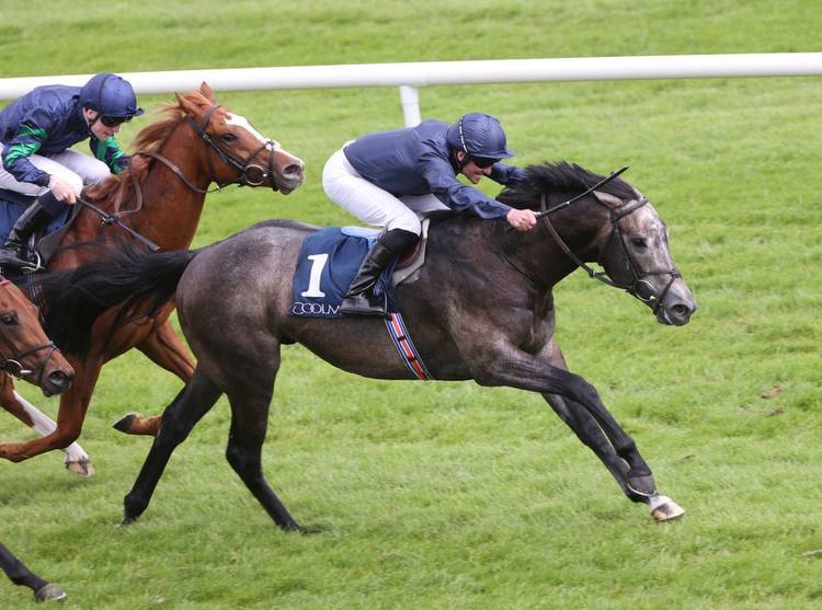 Battaash's brother The Antarctic bids to bounce back from defeat