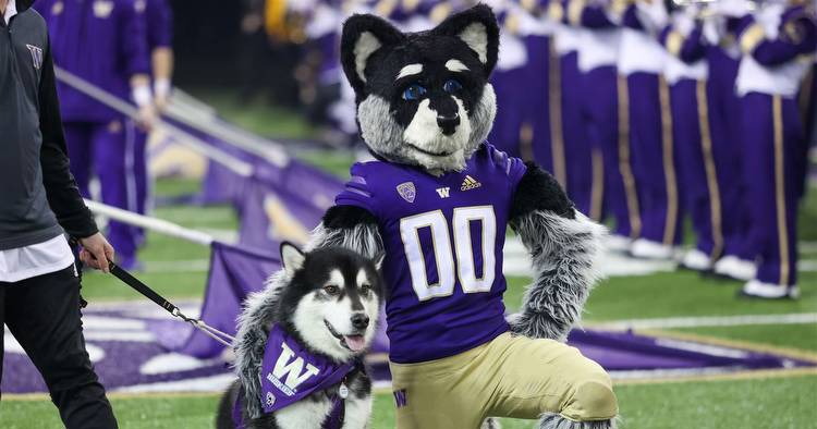 Behind Enemy Lines: Five Questions for a Washington Huskies Expert